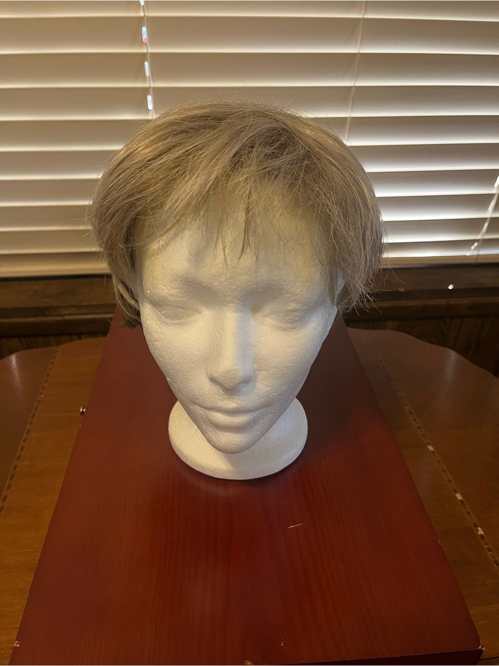 Jon Renounce Short Layered Women’s Wig in Light Ash Blonde